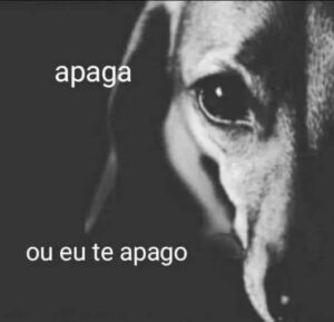 cebdbcfd4cff24fa2fcd8442aa042507